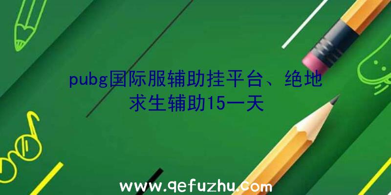 pubg国际服辅助挂平台、绝地求生辅助15一天