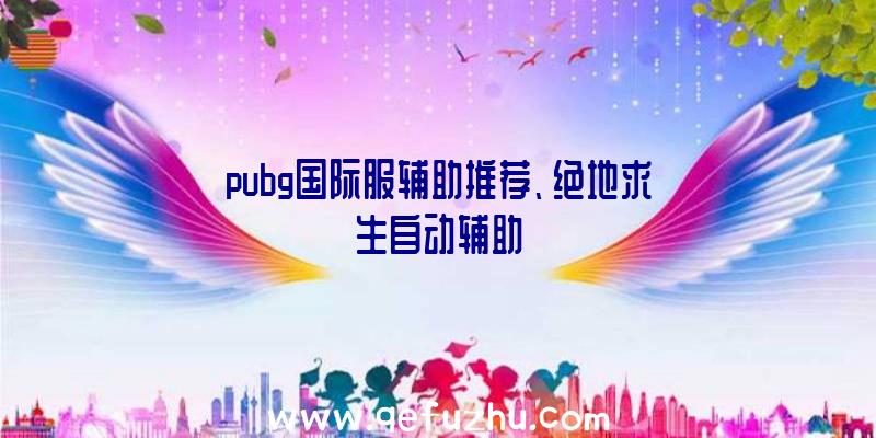 pubg国际服辅助推荐、绝地求生自动辅助