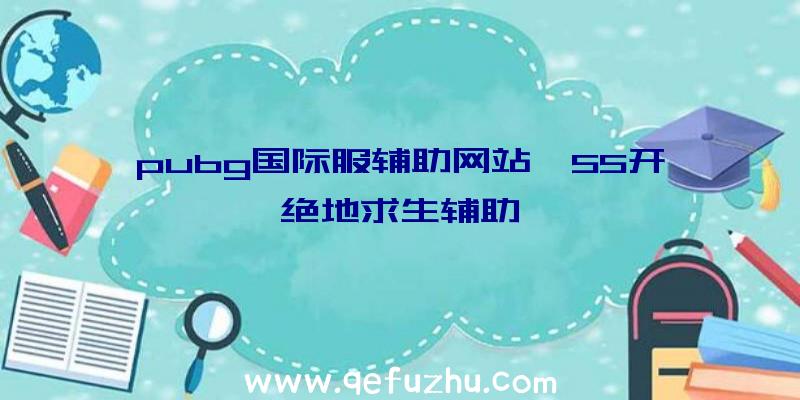 pubg国际服辅助网站、55开绝地求生辅助