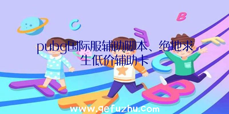 pubg国际服辅助脚本、绝地求生低价辅助卡