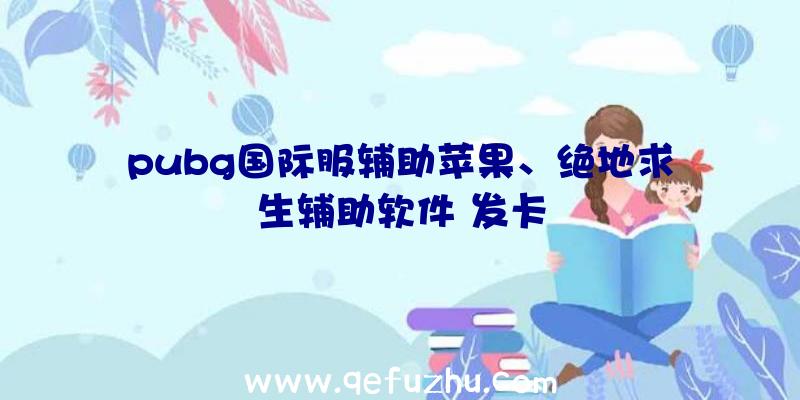 pubg国际服辅助苹果、绝地求生辅助软件