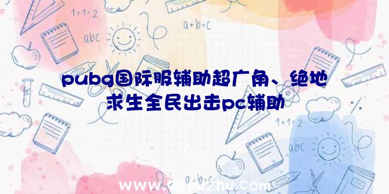 pubg国际服辅助超广角、绝地求生全民出击pc辅助