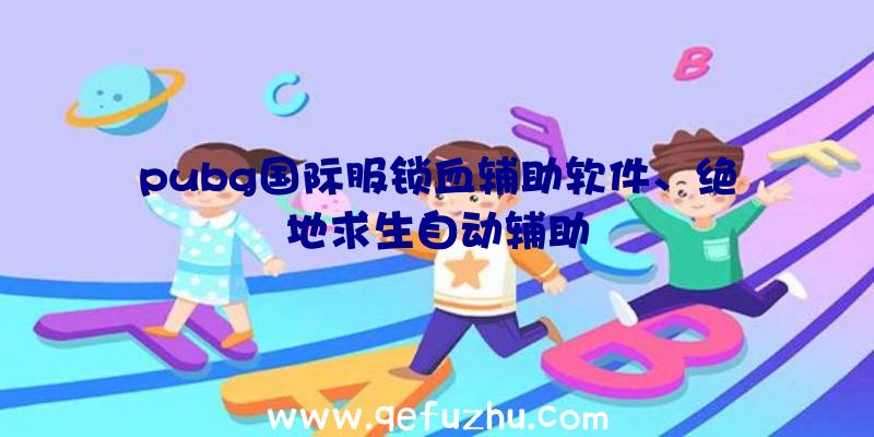 pubg国际服锁血辅助软件、绝地求生自动辅助