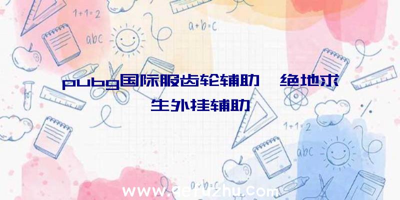 pubg国际服齿轮辅助、绝地求生外挂辅助