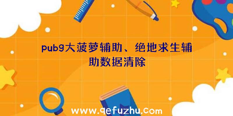 pubg大菠萝辅助、绝地求生辅助数据清除