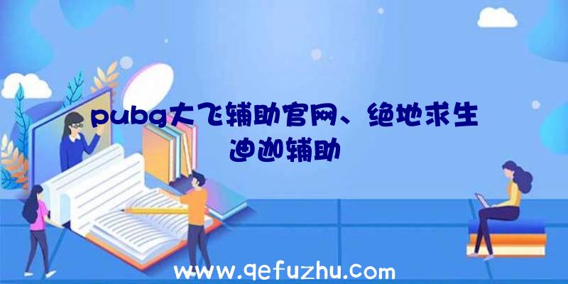 pubg大飞辅助官网、绝地求生迪迦辅助