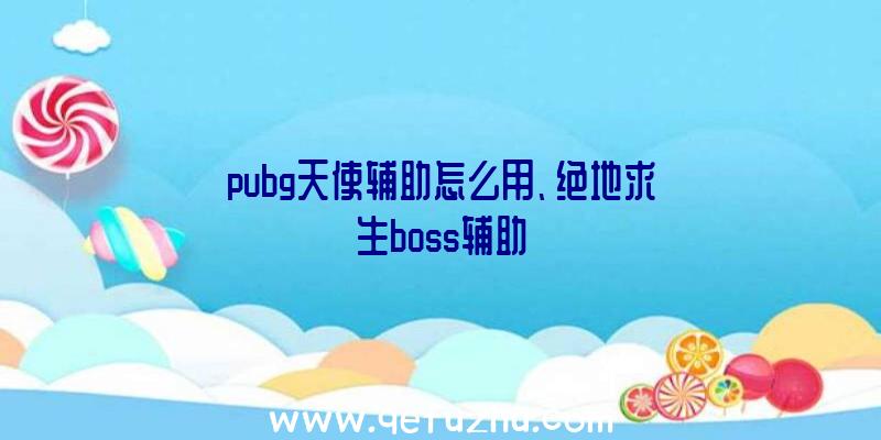 pubg天使辅助怎么用、绝地求生boss辅助