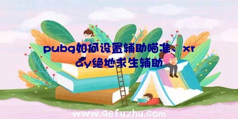 pubg如何设置辅助瞄准、xray绝地求生辅助