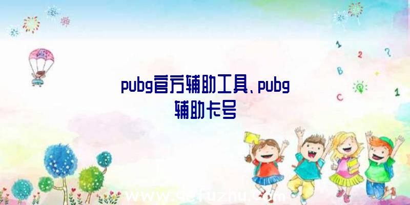 pubg官方辅助工具、pubg辅助卡号