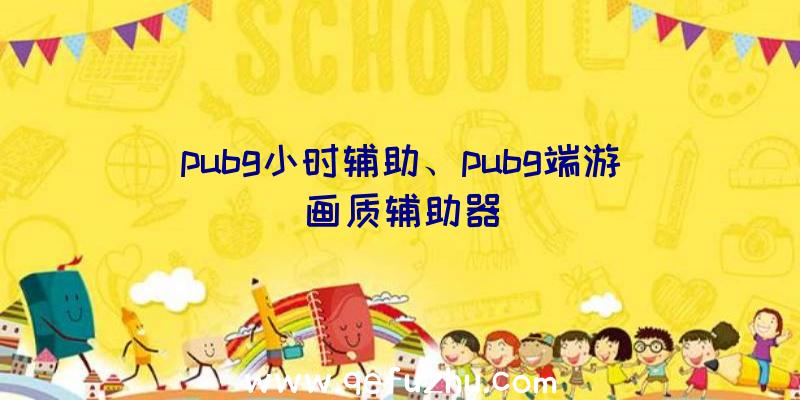 pubg小时辅助、pubg端游画质辅助器