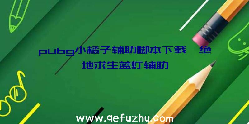 pubg小橘子辅助脚本下载、绝地求生蓝灯辅助