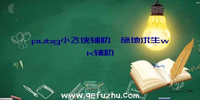 pubg小飞侠辅助、绝地求生wk辅助