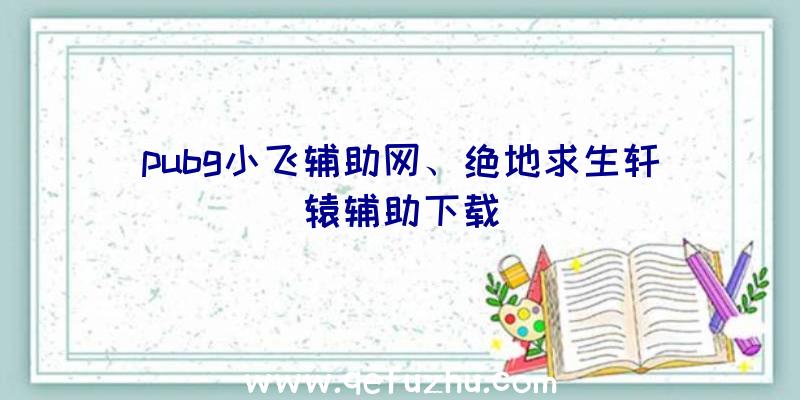 pubg小飞辅助网、绝地求生轩辕辅助下载