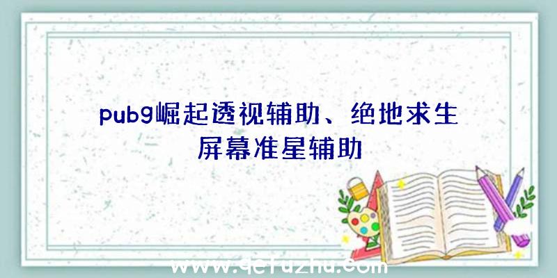 pubg崛起透视辅助、绝地求生屏幕准星辅助