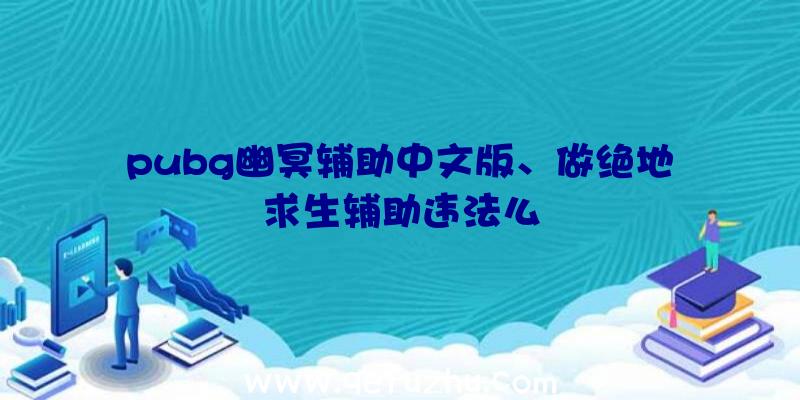 pubg幽冥辅助中文版、做绝地求生辅助违法么