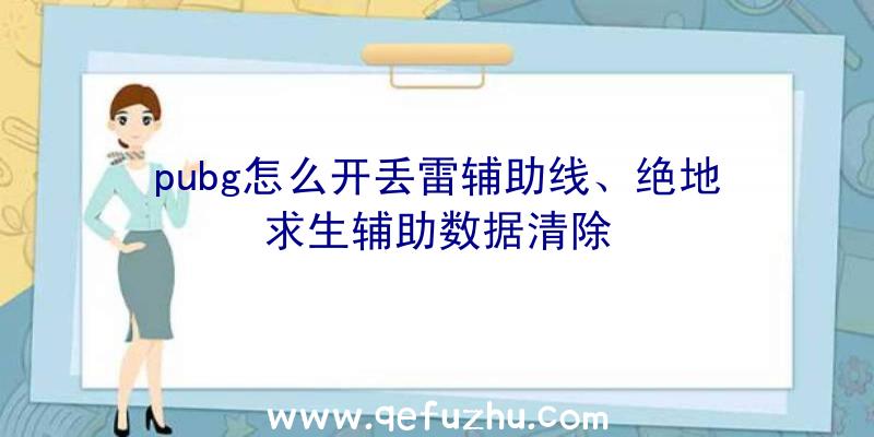 pubg怎么开丢雷辅助线、绝地求生辅助数据清除