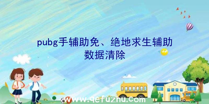 pubg手辅助免、绝地求生辅助数据清除