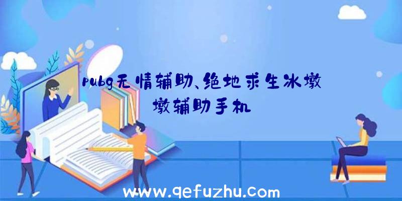 pubg无情辅助、绝地求生冰墩墩辅助手机