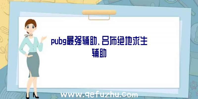 pubg最强辅助、吕布绝地求生辅助