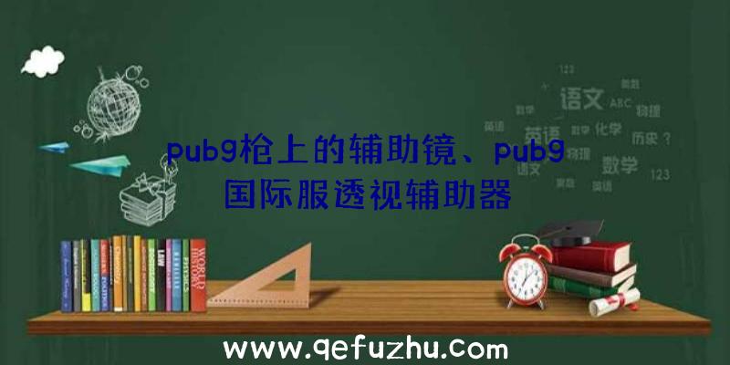 pubg枪上的辅助镜、pubg国际服透视辅助器