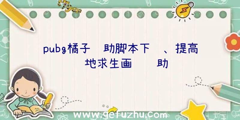 pubg橘子辅助脚本下载、提高绝地求生画质辅助