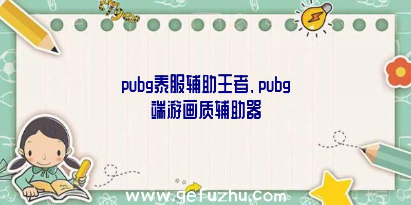 pubg泰服辅助王者、pubg端游画质辅助器