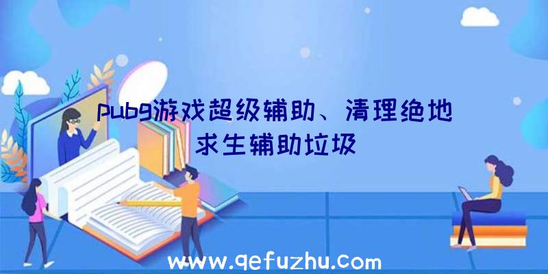 pubg游戏超级辅助、清理绝地求生辅助垃圾