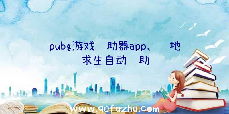 pubg游戏辅助器app、绝地求生自动辅助