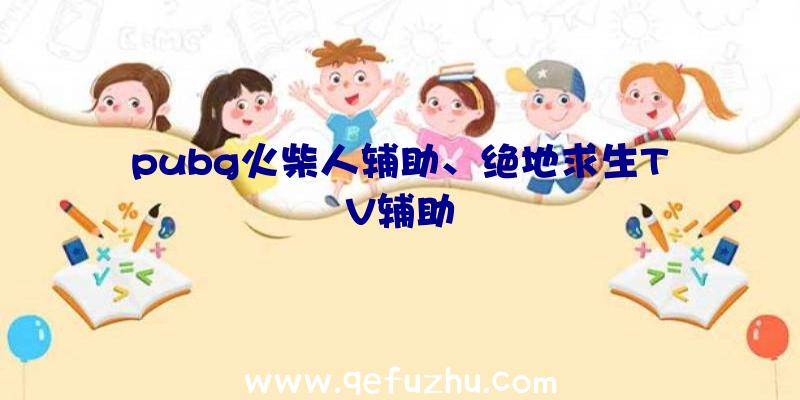 pubg火柴人辅助、绝地求生TV辅助