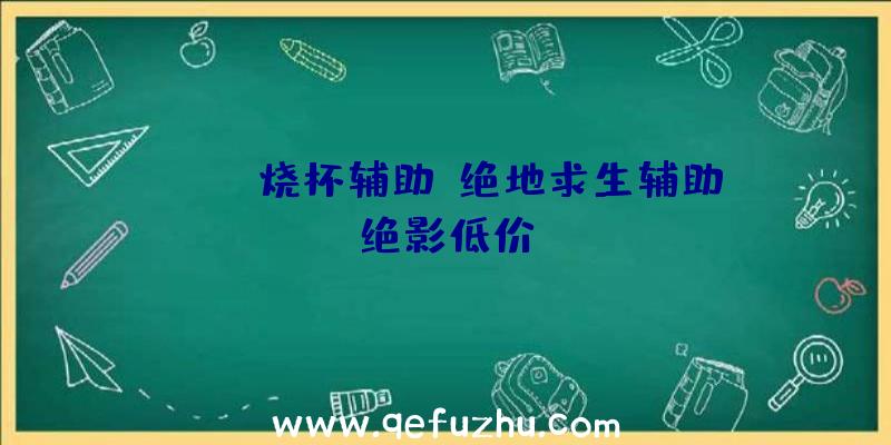 pubg烧杯辅助、绝地求生辅助绝影低价