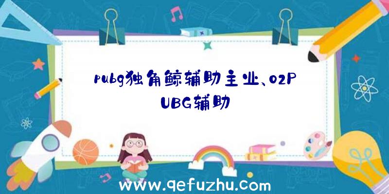 pubg独角鲸辅助主业、02PUBG辅助