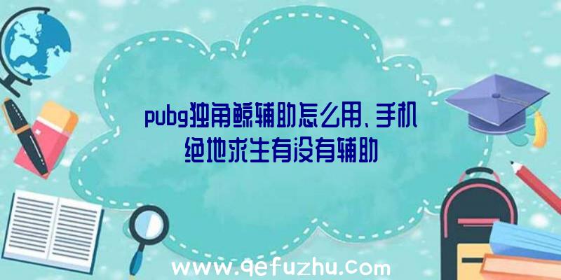 pubg独角鲸辅助怎么用、手机绝地求生有没有辅助