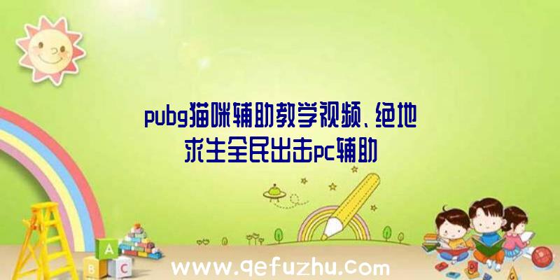 pubg猫咪辅助教学视频、绝地求生全民出击pc辅助