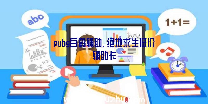 pubg白鹤辅助、绝地求生低价辅助卡