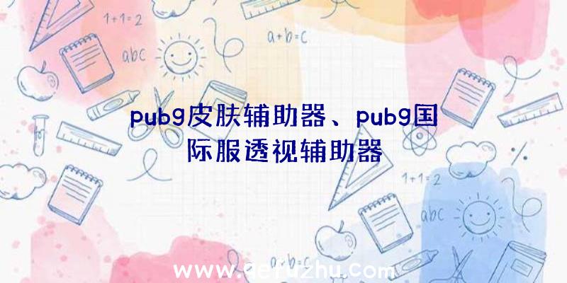 pubg皮肤辅助器、pubg国际服透视辅助器