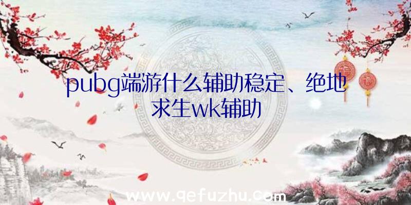 pubg端游什么辅助稳定、绝地求生wk辅助