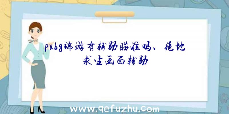 pubg端游有辅助瞄准吗、绝地求生画面辅助