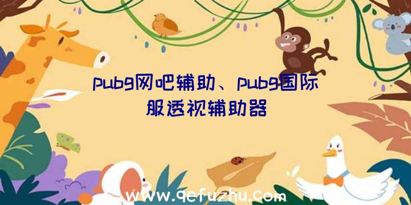 pubg网吧辅助、pubg国际服透视辅助器