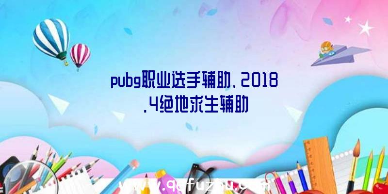 pubg职业选手辅助、2018.4绝地求生辅助