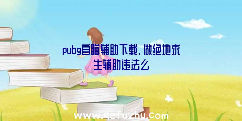 pubg自瞄辅助下载、做绝地求生辅助违法么