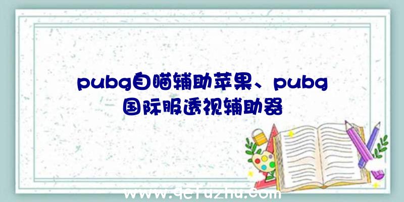 pubg自瞄辅助苹果、pubg国际服透视辅助器