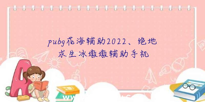 pubg花海辅助2022、绝地求生冰墩墩辅助手机