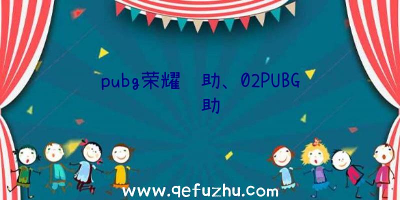 pubg荣耀辅助、02PUBG辅助