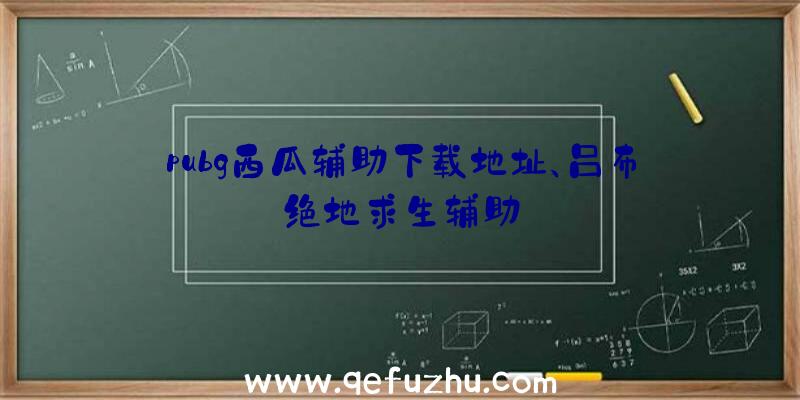 pubg西瓜辅助下载地址、吕布绝地求生辅助