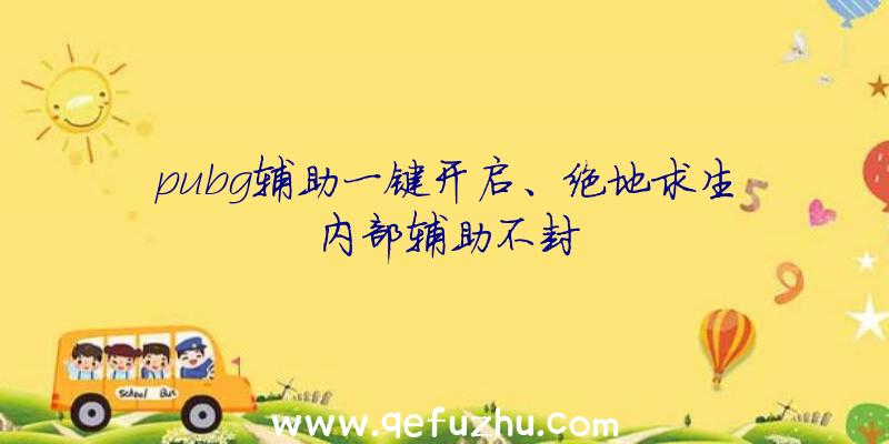 pubg辅助一键开启、绝地求生内部辅助不封