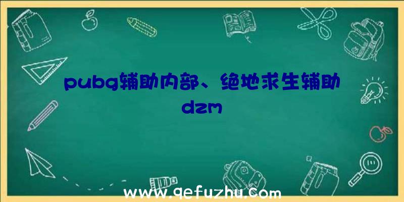 pubg辅助内部、绝地求生辅助dzm