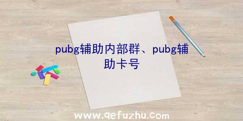 pubg辅助内部群、pubg辅助卡号