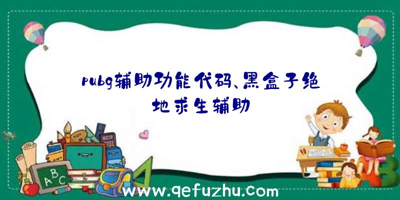 pubg辅助功能代码、黑盒子绝地求生辅助