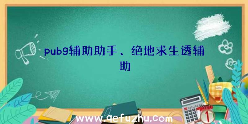 pubg辅助助手、绝地求生透辅助