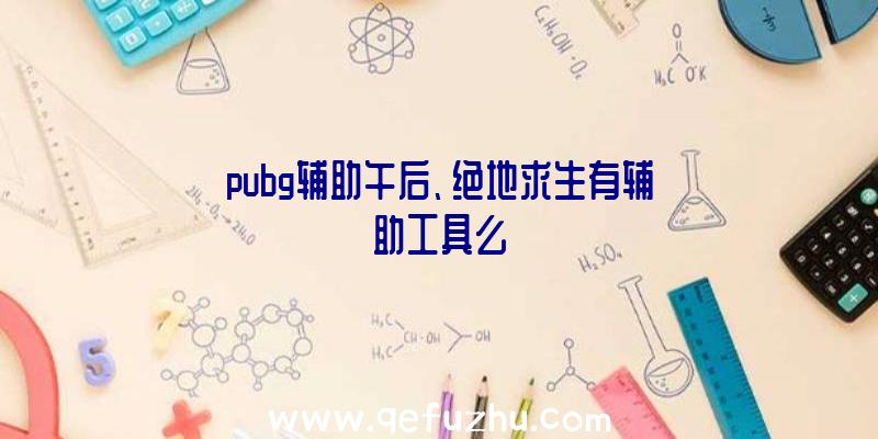 pubg辅助午后、绝地求生有辅助工具么